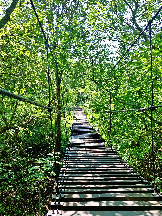 The suspension bridge near Mocharovka — a hidden spot in Transnistria