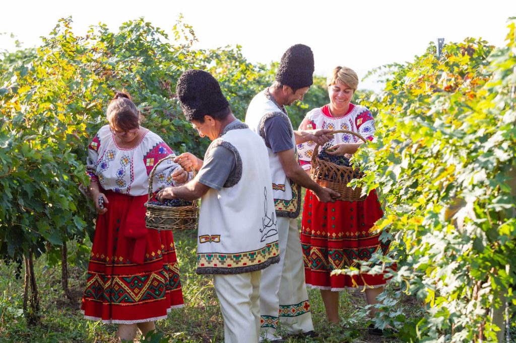 Visiting Tiraspol Winery and Distillery KVINT - Transnistria sightseeing tour